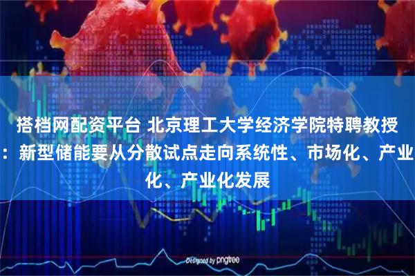 搭档网配资平台 北京理工大学经济学院特聘教授李金铠：新型储能要从分散试点走向系统性、市场化、产业化发展