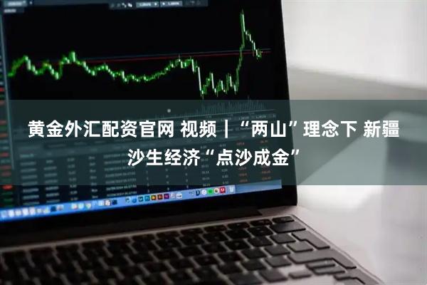 黄金外汇配资官网 视频｜“两山”理念下 新疆沙生经济“点沙成金”