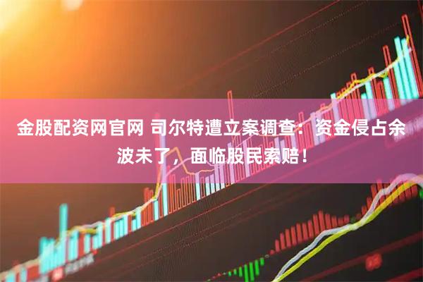 金股配资网官网 司尔特遭立案调查：资金侵占余波未了，面临股民索赔！